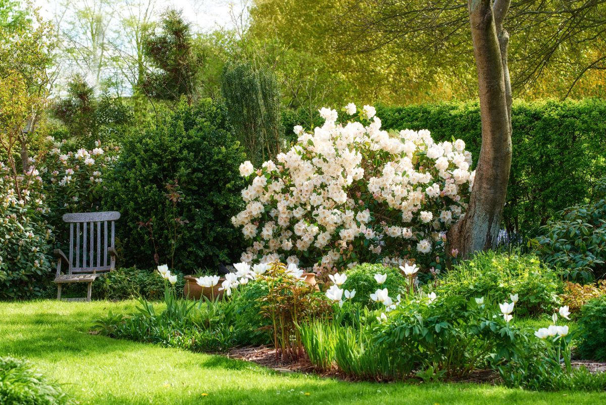 Ruhe im eigenen Garten — der perfekte Rückzugsort in Rastatt