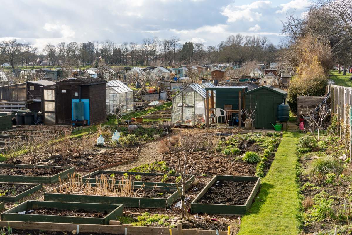 Schrebergarten in Rastatt: Pacht, Regeln und was Sie wissen 